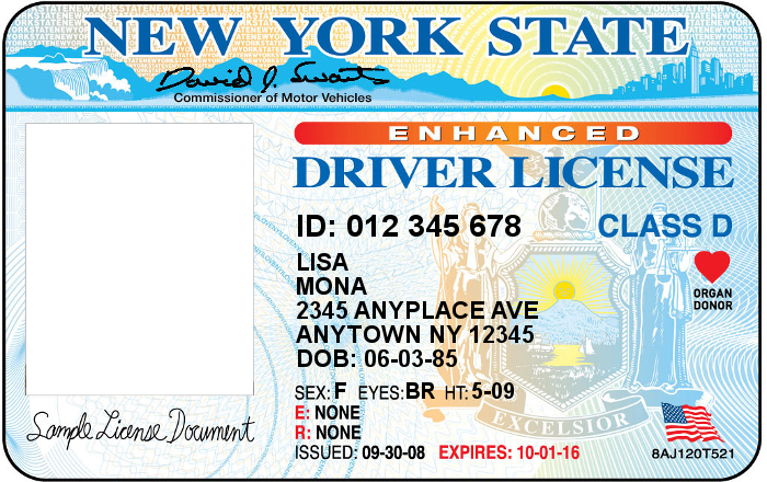 drivers license templates for free